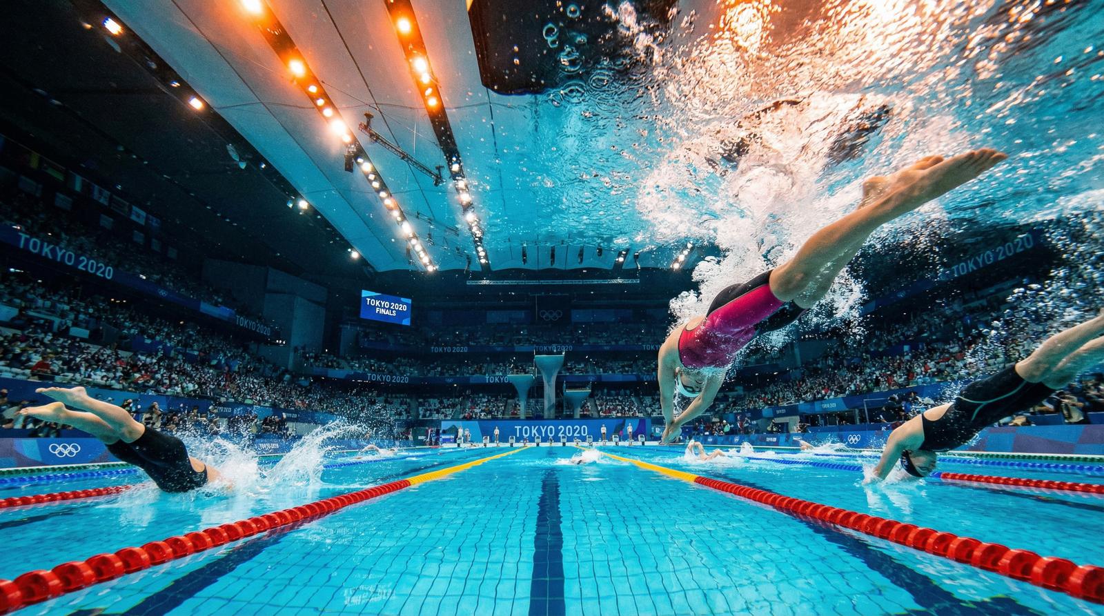 网红主播游泳赛事视频